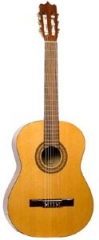 Гитара Martinez FAC-503
